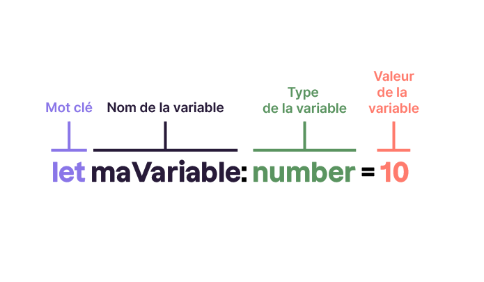 Une ligne de code montre la syntaxe de base. On commence par le mot-clé let, puis le nom de la variable suivi du caractère deux points. Après vient le type de la variable, number par exemple. Enfin on ajoute le signe égal et la valeur de la variable.