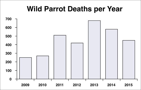 A chart of wild parrot deaths produced by Charter