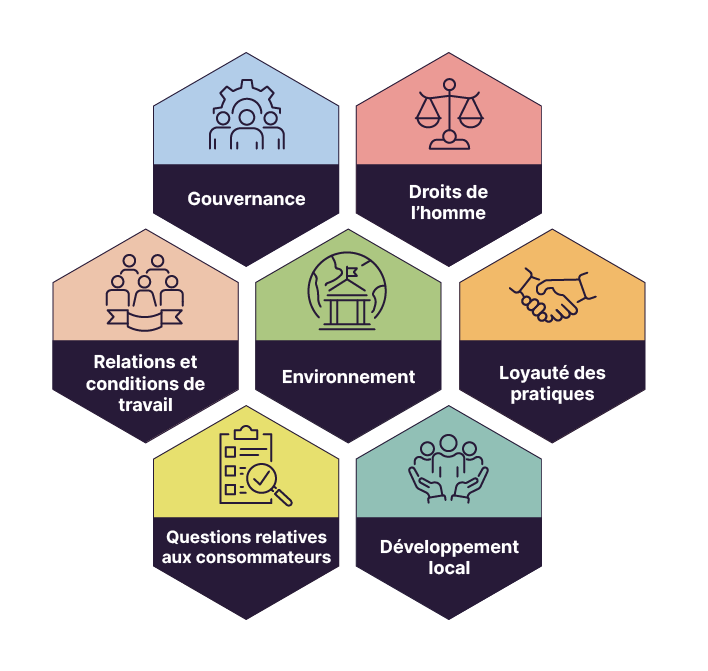 Sous forme de pictogramme en forme d' essaim d'abeille : gouvernance, droits de l'homme, relations et conditions de travail, environnement, loyauté des pratiques, questions relatives aux consommateurs, développement local.