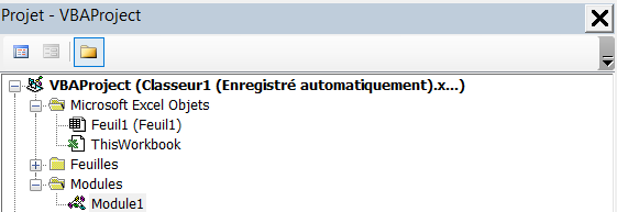 Impression d'écran montrant différents classeur dans l'onglet Projet dans le VBE.