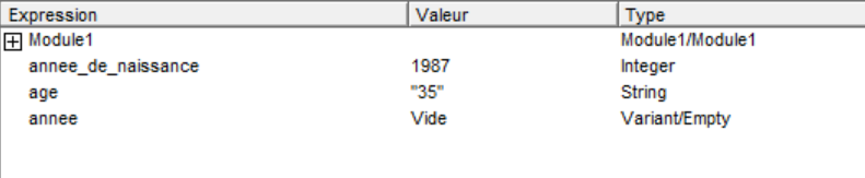 Impression d'écran des variables locales dans le VBE