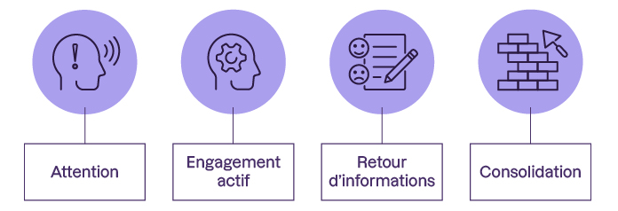 Les 4 piliers de l'apprentissage sont dans l'ordre : l'attention : l'engagement actif ; le retour d'informations et la consolidation.