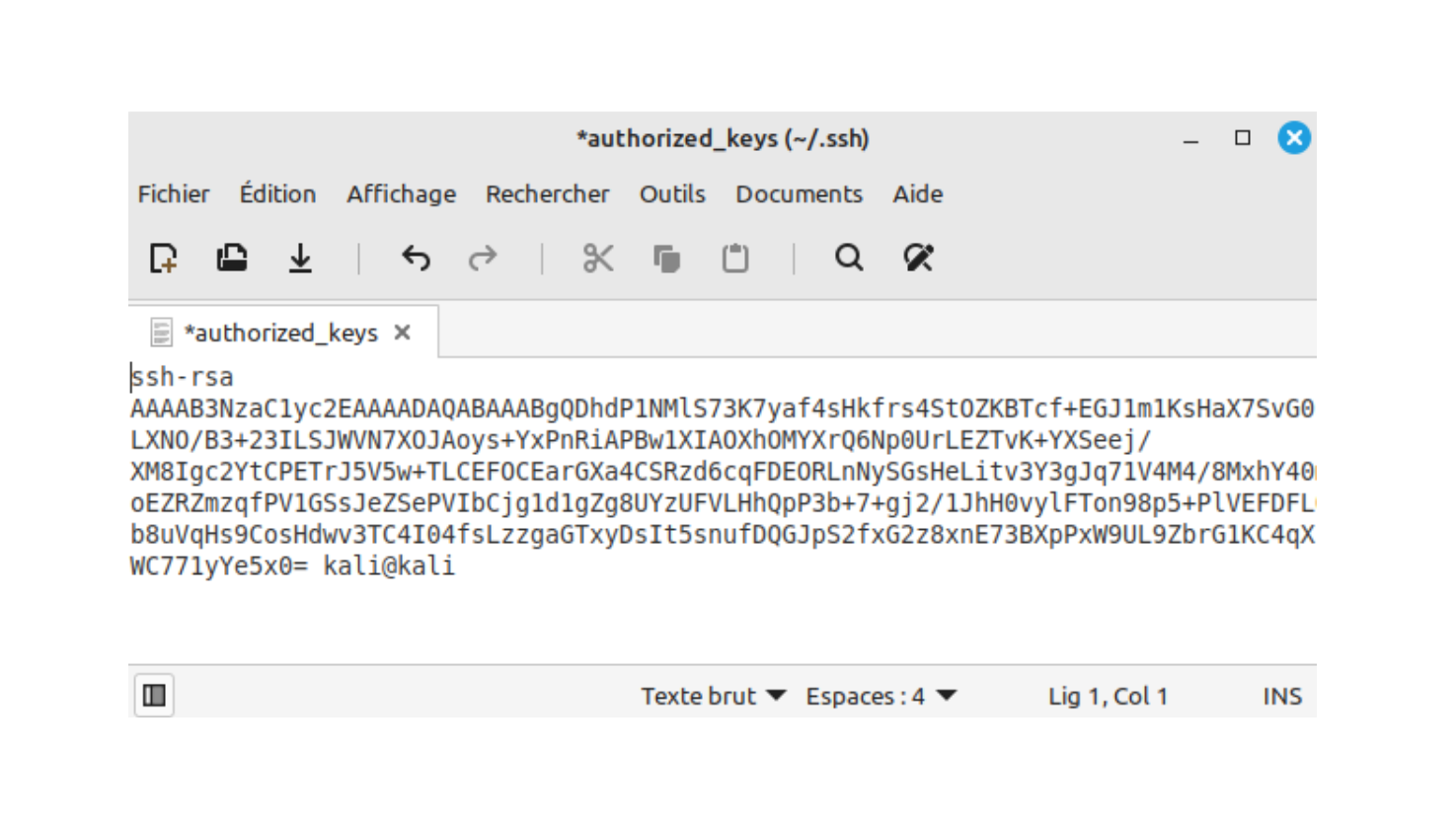 Impression d'écran du contenu de ~/.ssh/authorized_keys