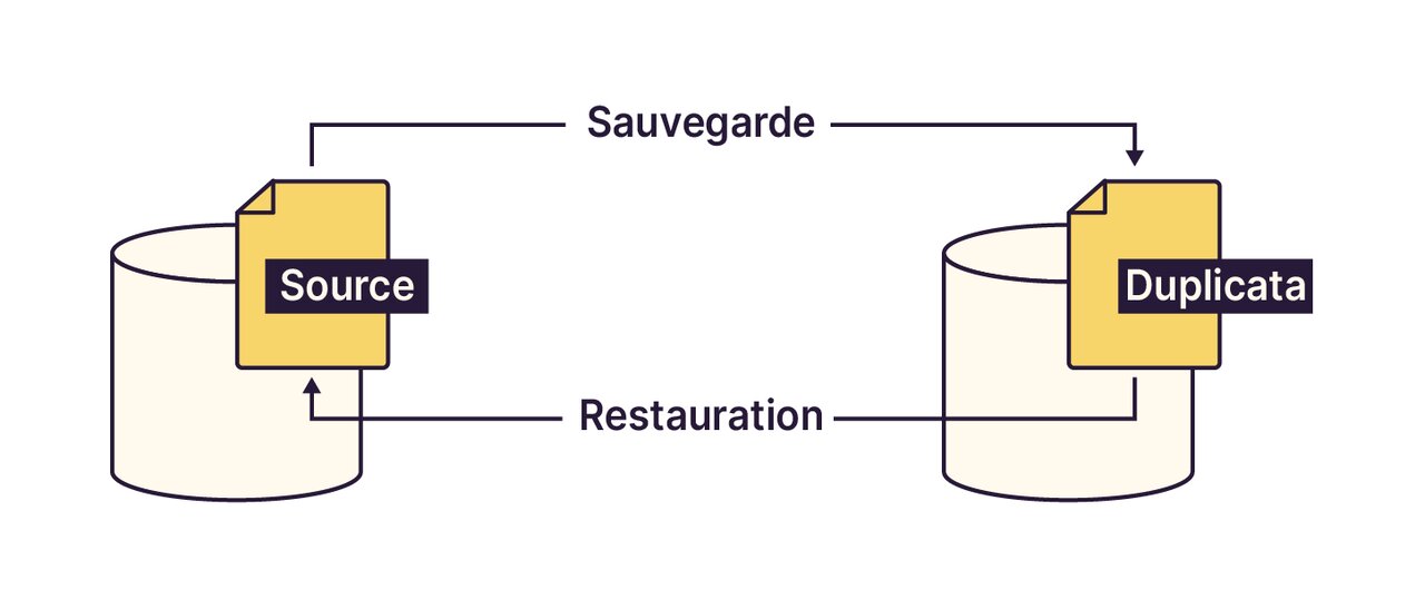 Cycle de sauvegarde basique, avec la donnée source qui est sauvegardée sous la forme d'un duplicata qu'il est possible de restaurer si la donnée source est perdue.