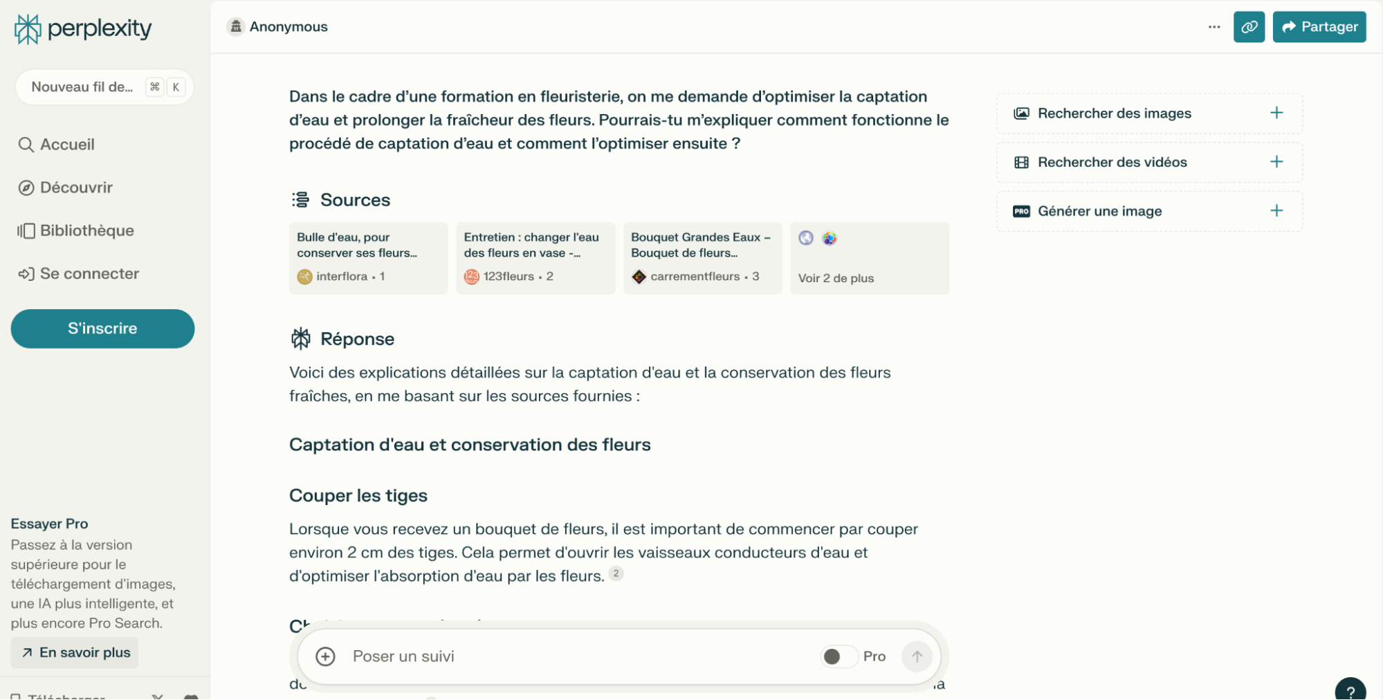 Impression d'écran du site perplexity avec une demande rédigé et la réponse de l'IA