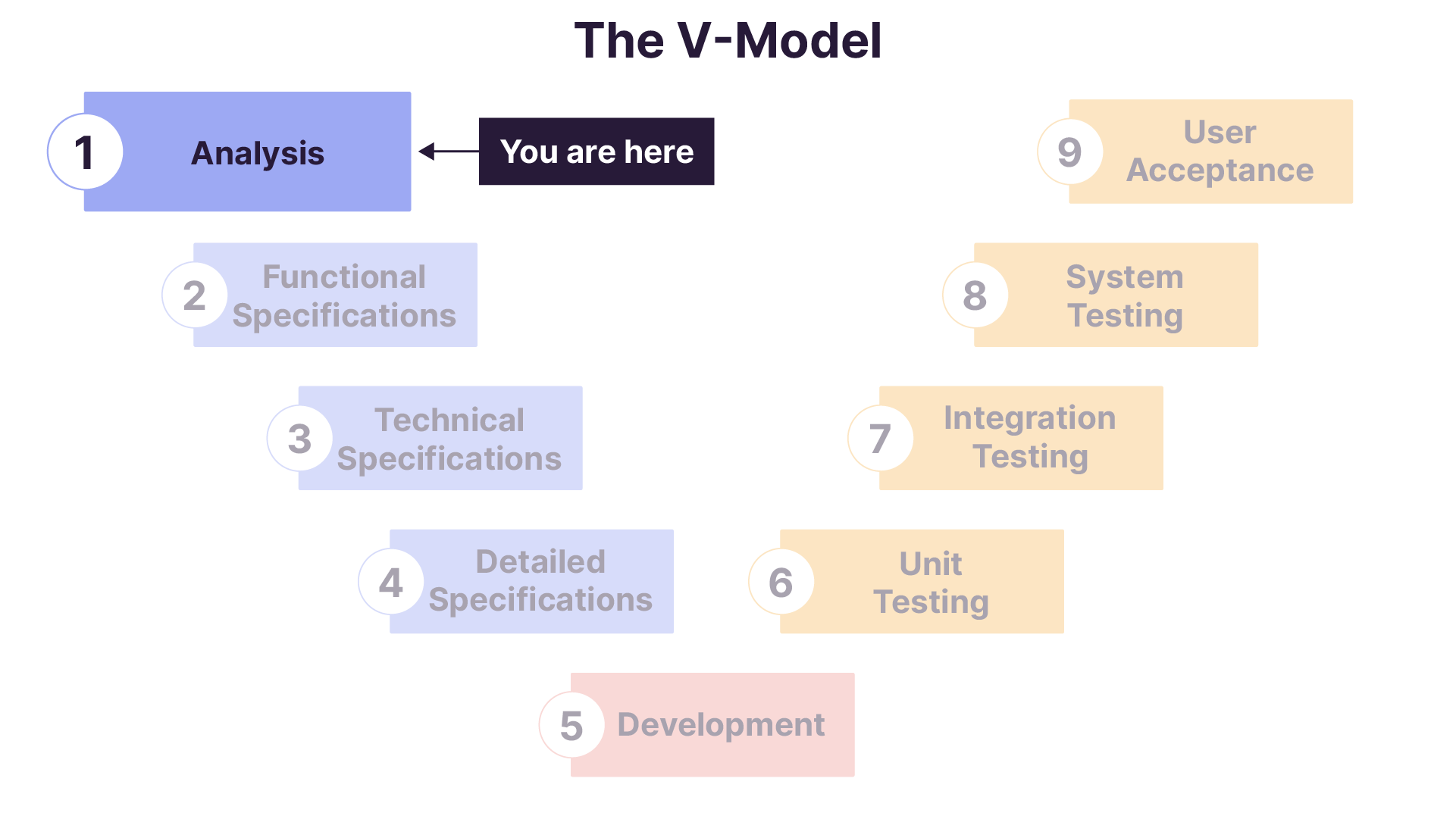 The First Step in the V-Model Process: Analysis