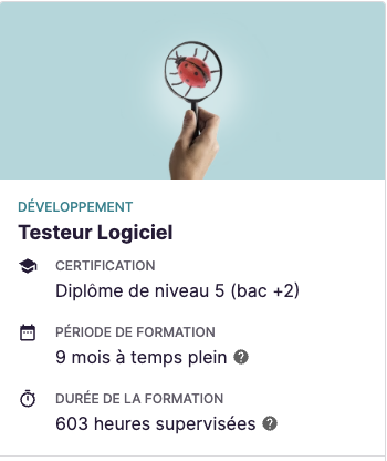 Testeur logiciel