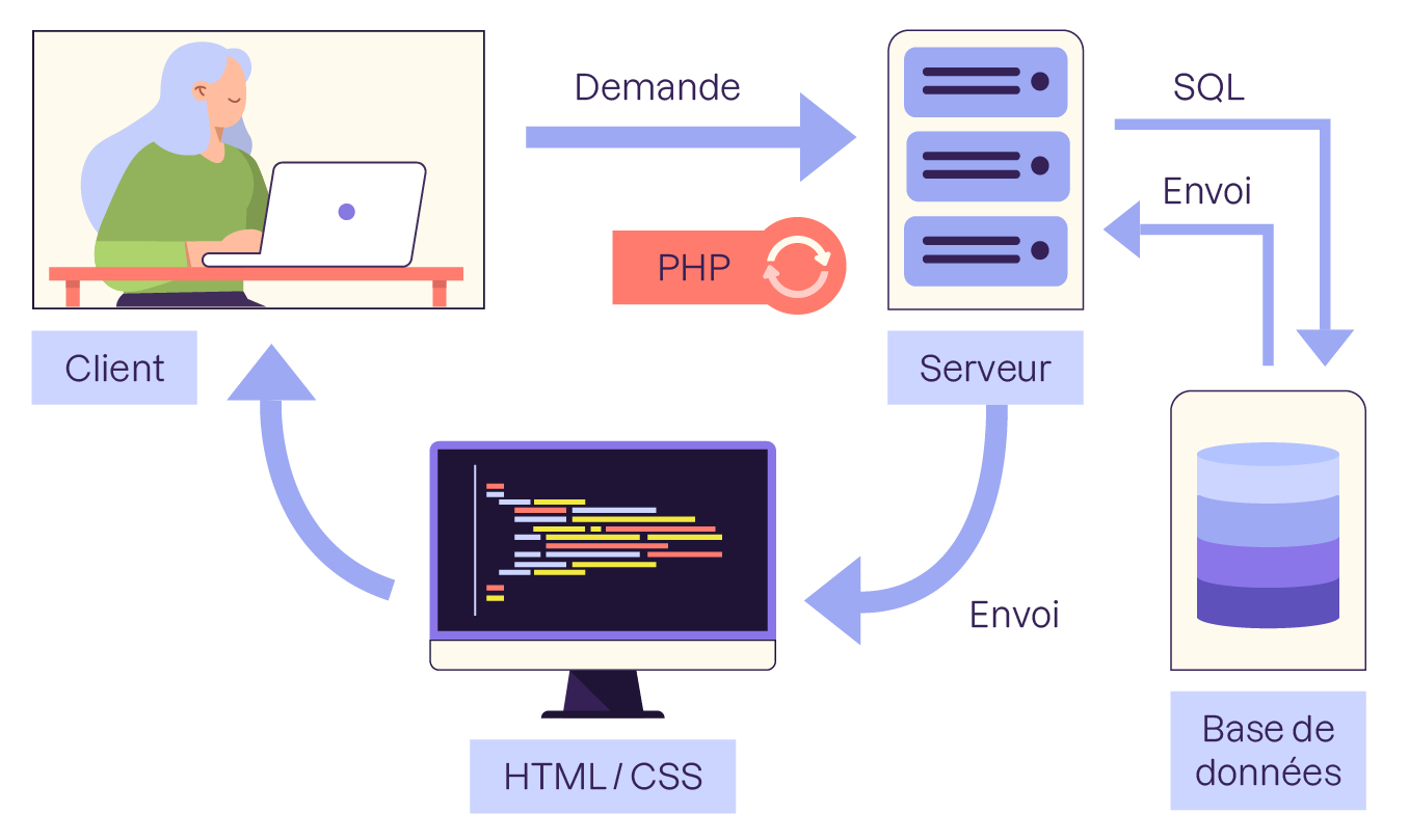 Le serveur utilise le SQL pour communiquer avec la base de données. Le serveur utilise ensuite le langage serveur PHP pour générer la page, et utilise les langages HTML, CSS ou JS pour l'envoyer au client.