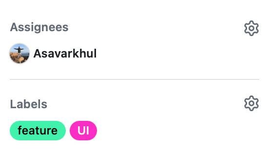Capture d'écran montrant les assignations et les labels d'une issue GitHub. Un utilisateur est assigné à l'issue. Deux labels sont présents : 'feature' en vert et 'UI' en rose.