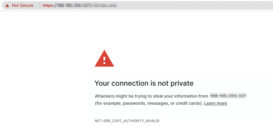 Browser error: certification authority not recognized