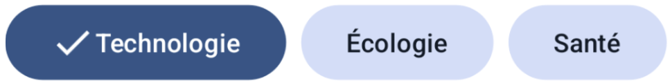 Composant `CategoryFilter` avec pour catégories Technologie, Ecologie et Santé