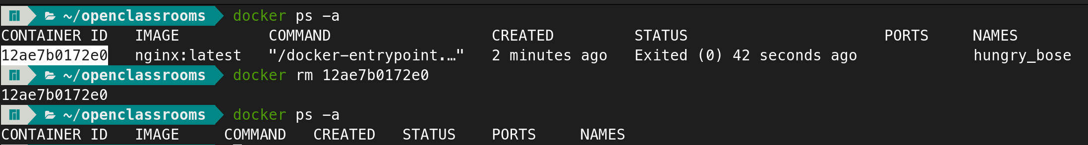 docker ps -a + docker rm <image_id>