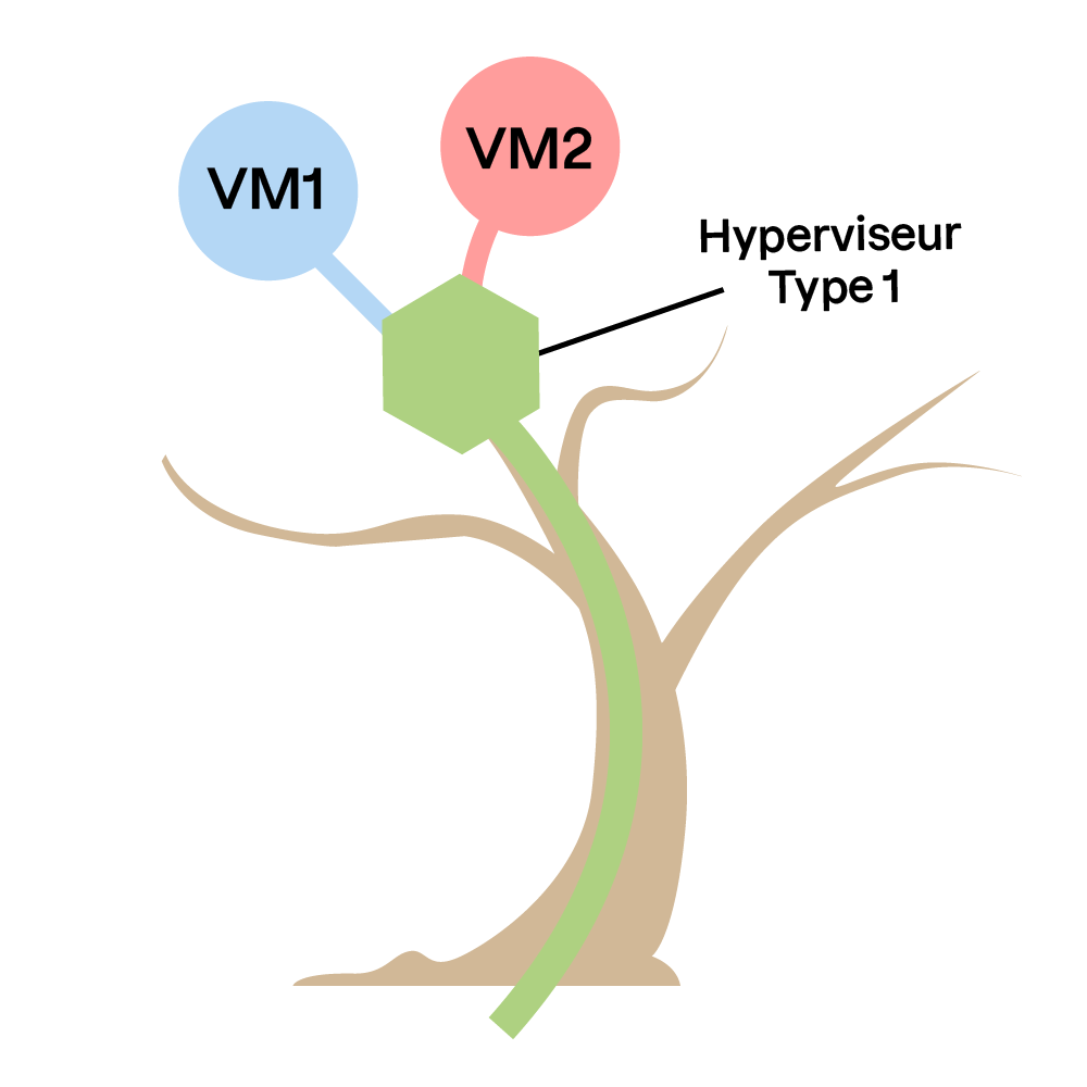 Illustration d'un arbre avec a un tronc vert menant à un hexagone central (l'hyperviseur) d'où partent deux branches colorées, chacune connectée à une bulle représentant une machine virtuelle : VM1 en bleu et VM2 en rouge.