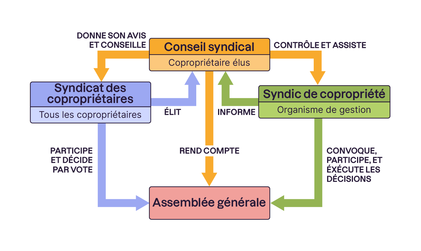 Diagramme illustrant les interactions dans une copropriété. Le syndicat des copropriétaires élit le conseil syndical, qui conseille et contrôle le syndic de copropriété. L'assemblée générale prend les décisions, exécutées par le syndic.