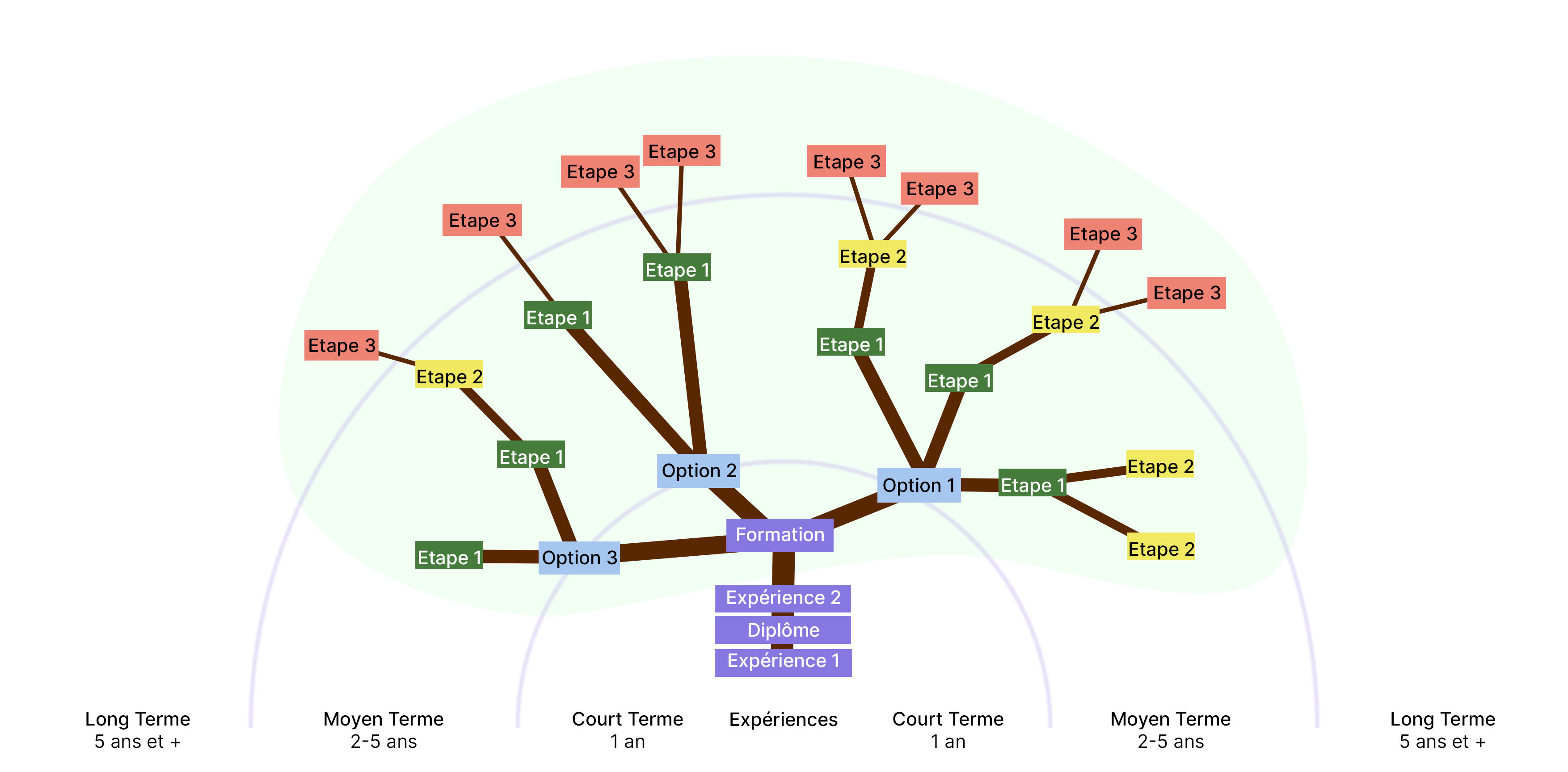 Un diagramme en forme d’arbre représentant un parcours d’évolution ou de planification en trois étapes. L’arbre commence à partir d’une base intitulée « Formation », avec des branches principales pour trois options (« Option 1 », « Optio