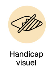 Symbole du handicap visuel : un œil barré par une ligne diagonale, représentant une déficience visuelle.