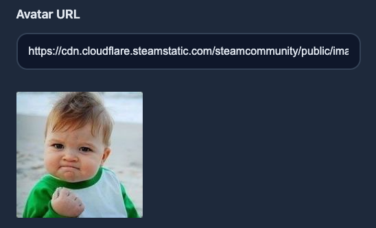 Une fois que l'URL est complet et que l'utilisateur est sorti du champ, l'image s'affiche correctement