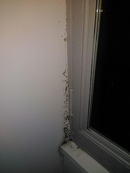 Photographie d'une fenêtre avec moisissures dans l'angle