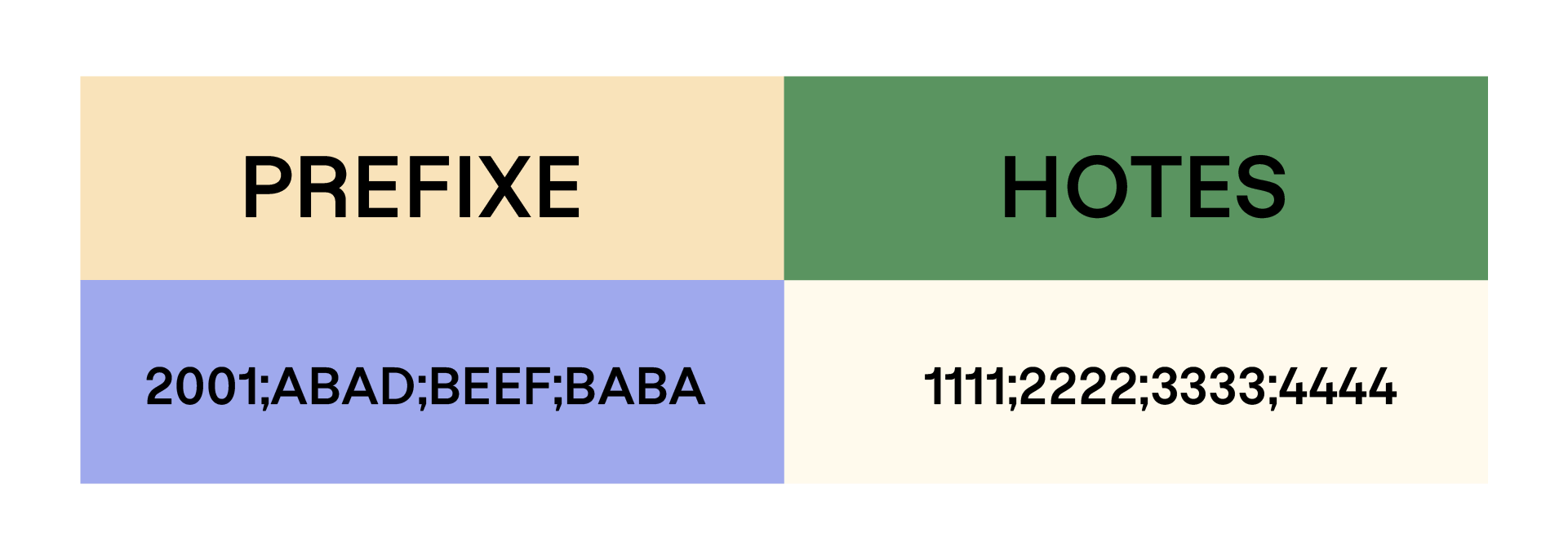 Tableau avec deux colonnes : « PREFIXE » et « HOTES ». En dessous, « 2001;ABAD;BEEF;BABA » à gauche sur fond bleu, et « 1111;2222;3333;4444 » à droite sur fond clair.