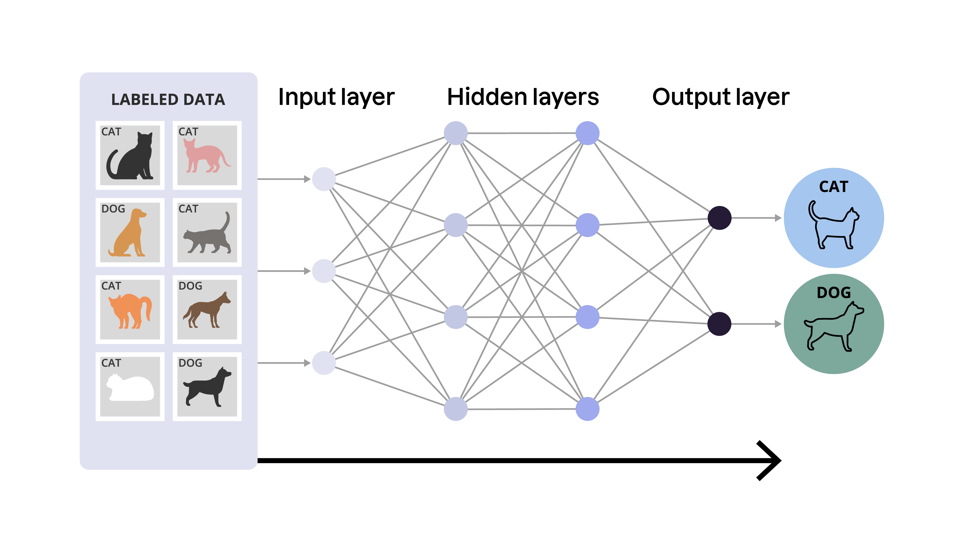 Schéma d’un réseau neuronal : des images de chats et de chiens étiquetées passent par des couches de neurones interconnectés pour être classées comme chat ou chien en sortie.