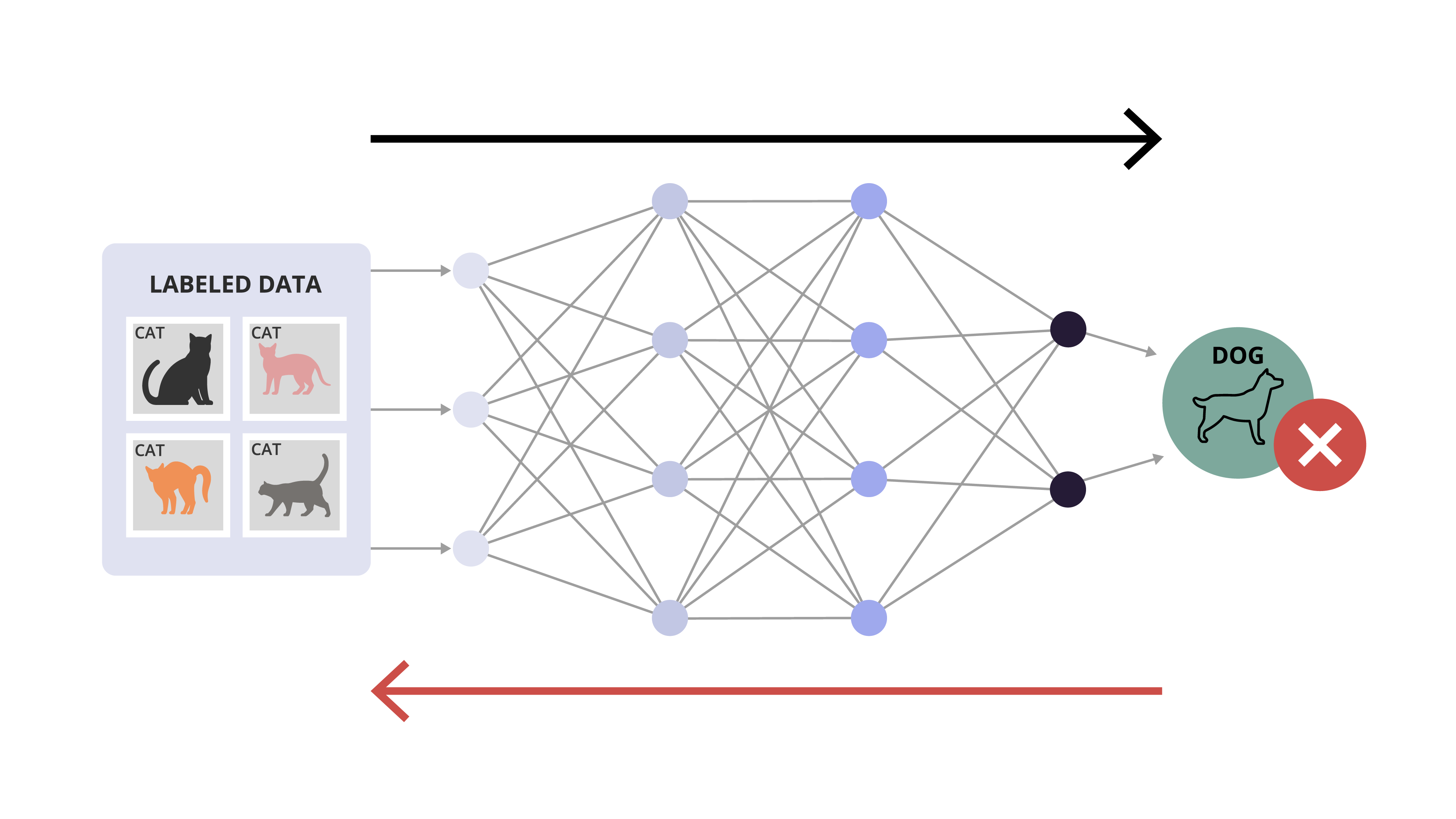 Schéma d’un réseau neuronal avec erreur : des images de chats sont mal classées comme chien, illustrant un processus de correction par rétropropagation (flèche rouge en retour).
