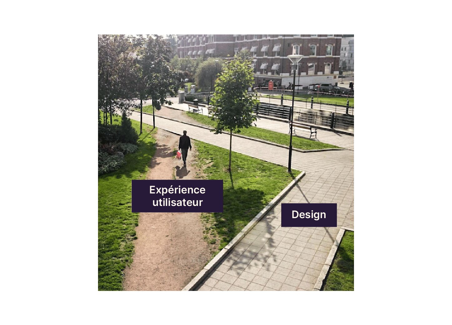 Crédit photo - Guy Cookson