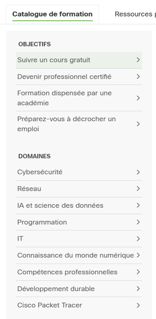 Menu du catalogue de formation avec plusieurs options. L’onglet Cisco Packet Tracer est tout en bas. .