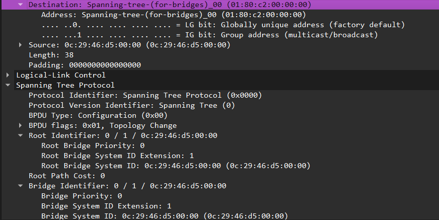 Capture d’écran montrant le détail d’une trame BPDU Spanning Tree, avec adresse multicast de destination, identifiants des bridges, priorités et indicateurs de changement de topologie.