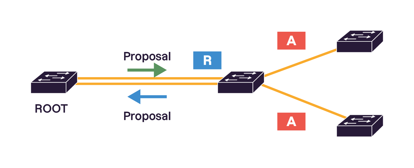 Le switch ROOT envoie une trame Proposal vers un switch non-root, qui répond aussi par une Proposal. Son port est marqué comme racine (R), et les ports vers les autres switches sont en attente (A).