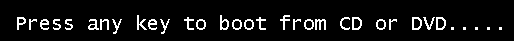 Press Any Key to Boot