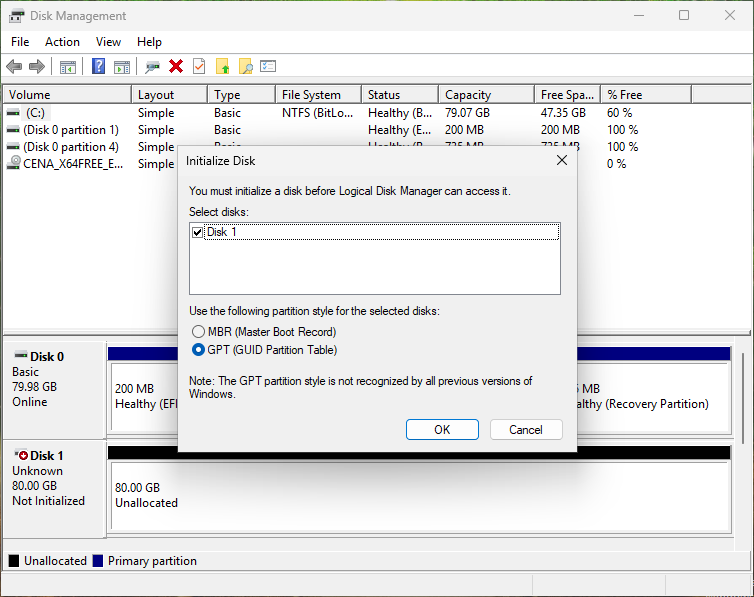 Select the Disk to Initialize