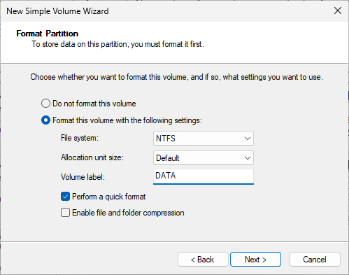 Select the Format this volume option and the Perform a quick format checkbox
