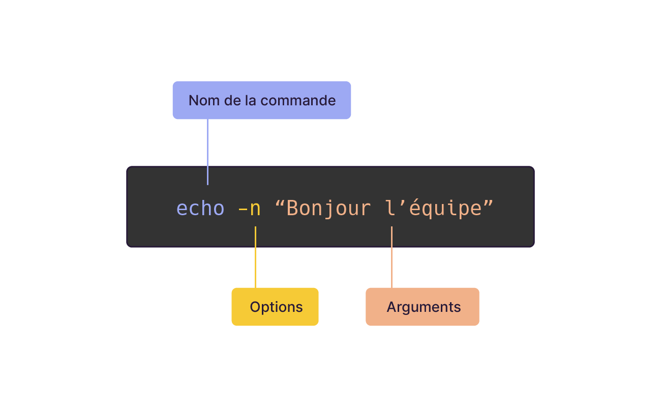 nom de la commande + options + arguments. Exemple : echo