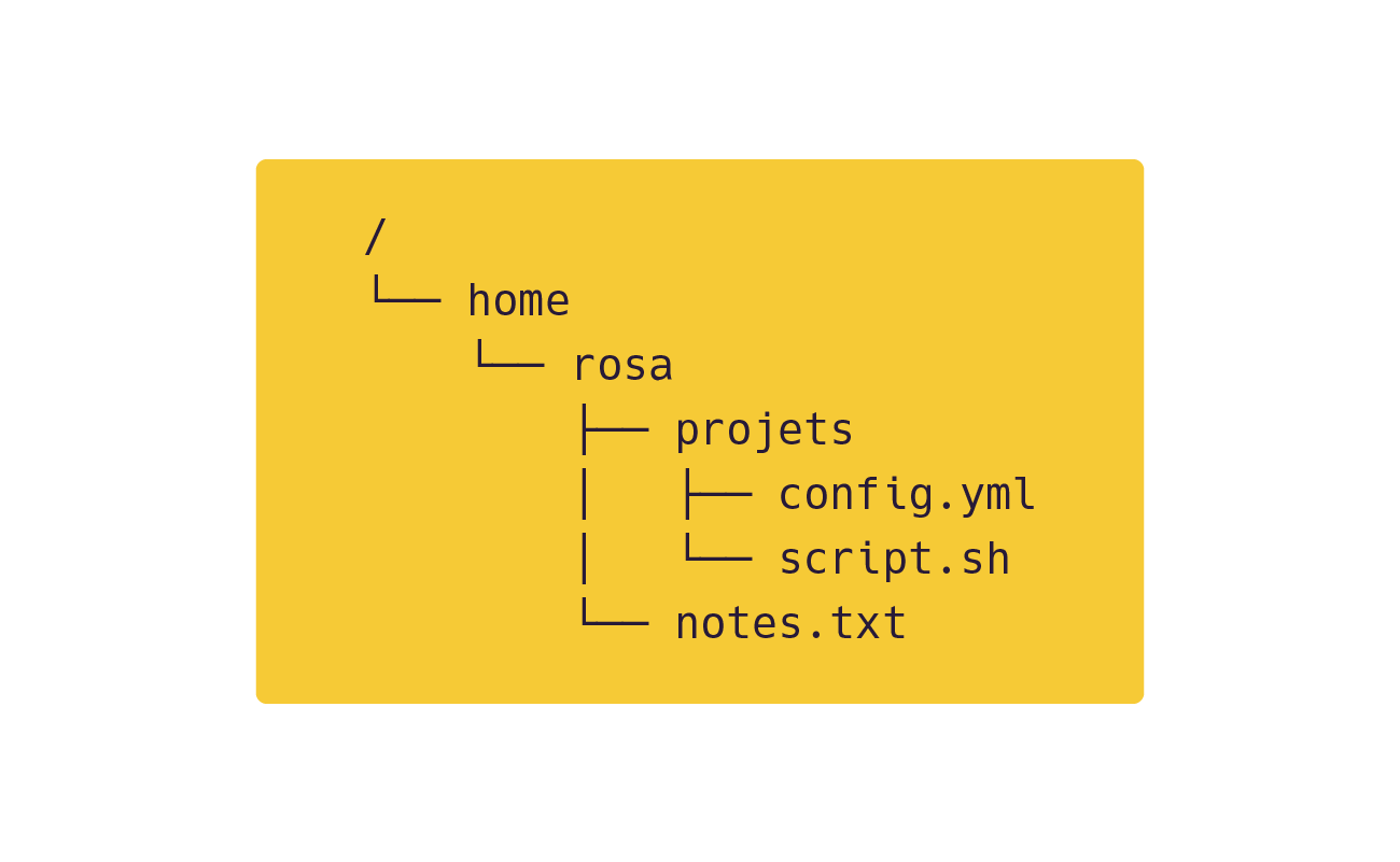 Arborescence Linux montrant /home/rosa avec un dossier projets (config.yml, script.sh) et un fichier notes.txt.