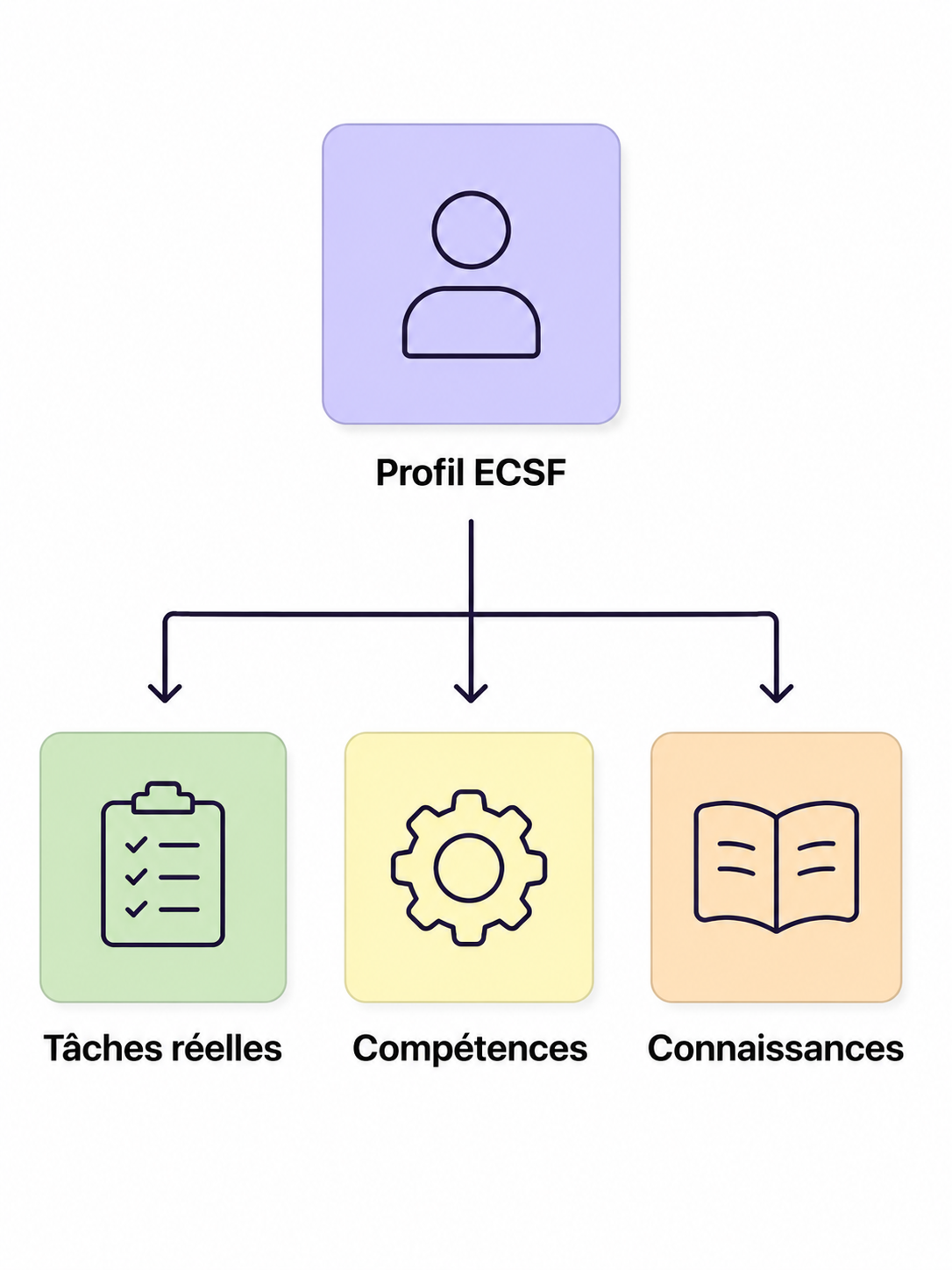 Les 3 piliers d'un profil ECSF.