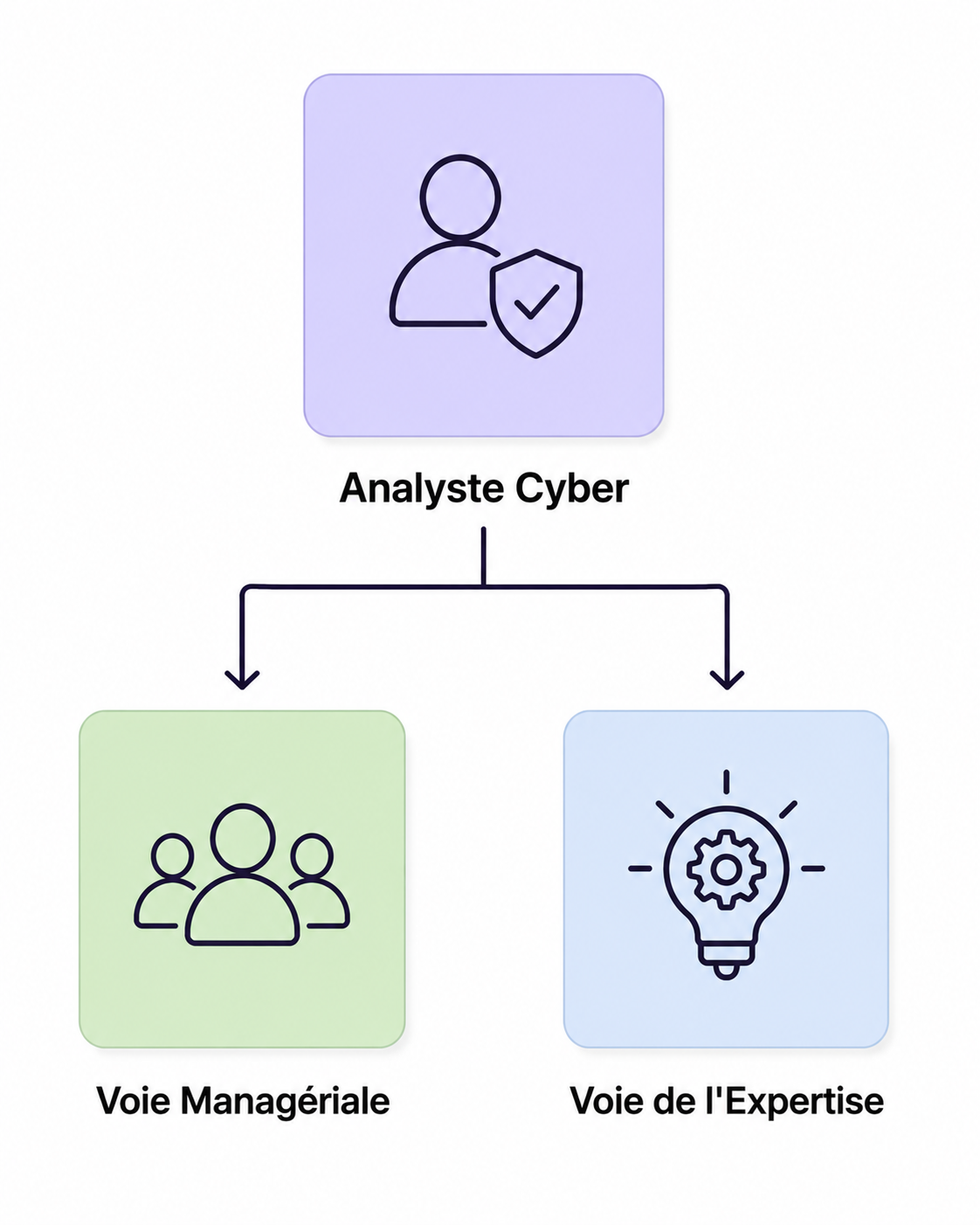 Les deux chemins d'évolution valorisants en cybersécurité.