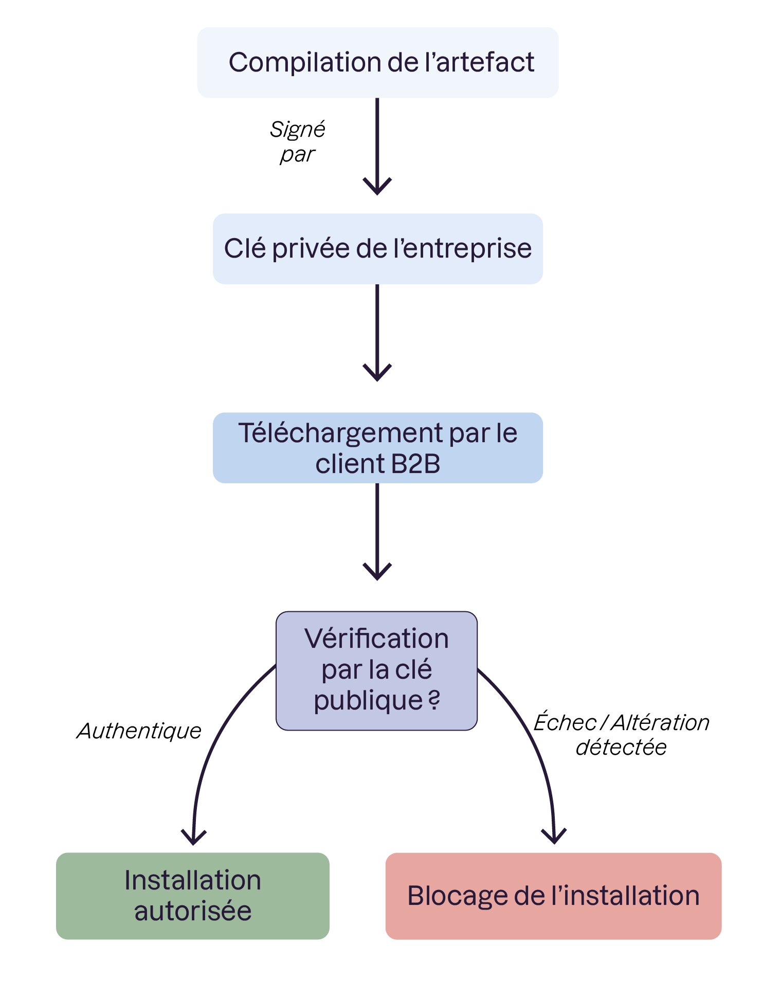 La validation de la signature par la clé publique intégrée garantit l'intégrité de l'artefact avant exécution.